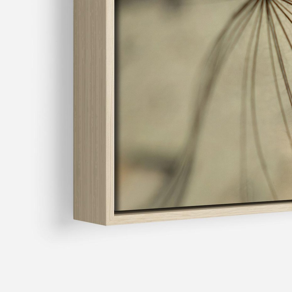 Obraz w ramie 80x80 - Delikatność dmuchawców - dmuchawce, krople - rama drewno