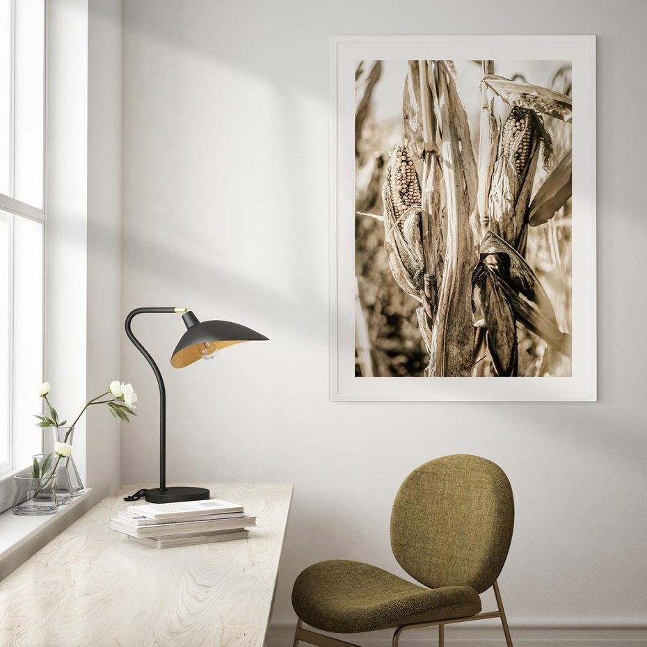 Plakat w ramie 40x50 - Retro Pole Kukurydzy - retro zdjęcie, sepia - rama biała