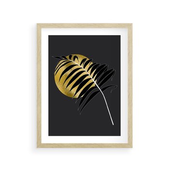 Plakat w ramie 30x40 - Egzotyczna Elegancja - palma, na czarnym tle - rama drewno