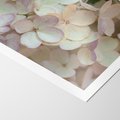 Plakat bez ramy 21x30 - Kwiatowy taniec - kwiaty, hortensje