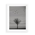 Plakat w ramie 50x70 - Samotne Drzewo - samotne drzewo w polu, czarno białe zdjęcie - rama biała