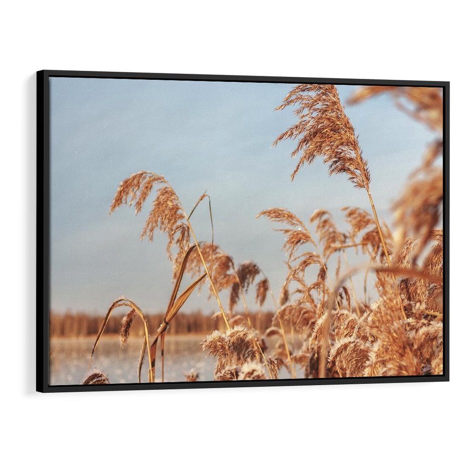 Obraz w ramie 70x50 - Wyraz Stylu - trawy, boho - rama czarna