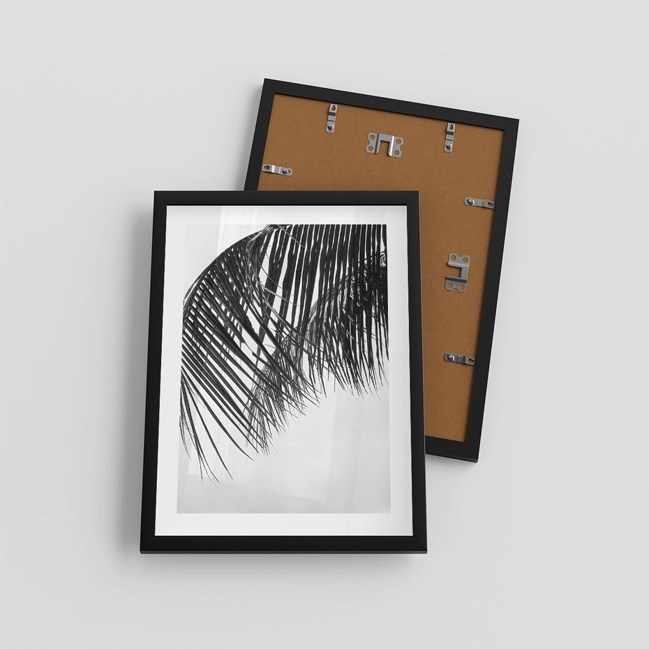Plakat w ramie 30x40 - Czarno-Biały Kontrast - czarno białe zdjecie, palma - rama czarna