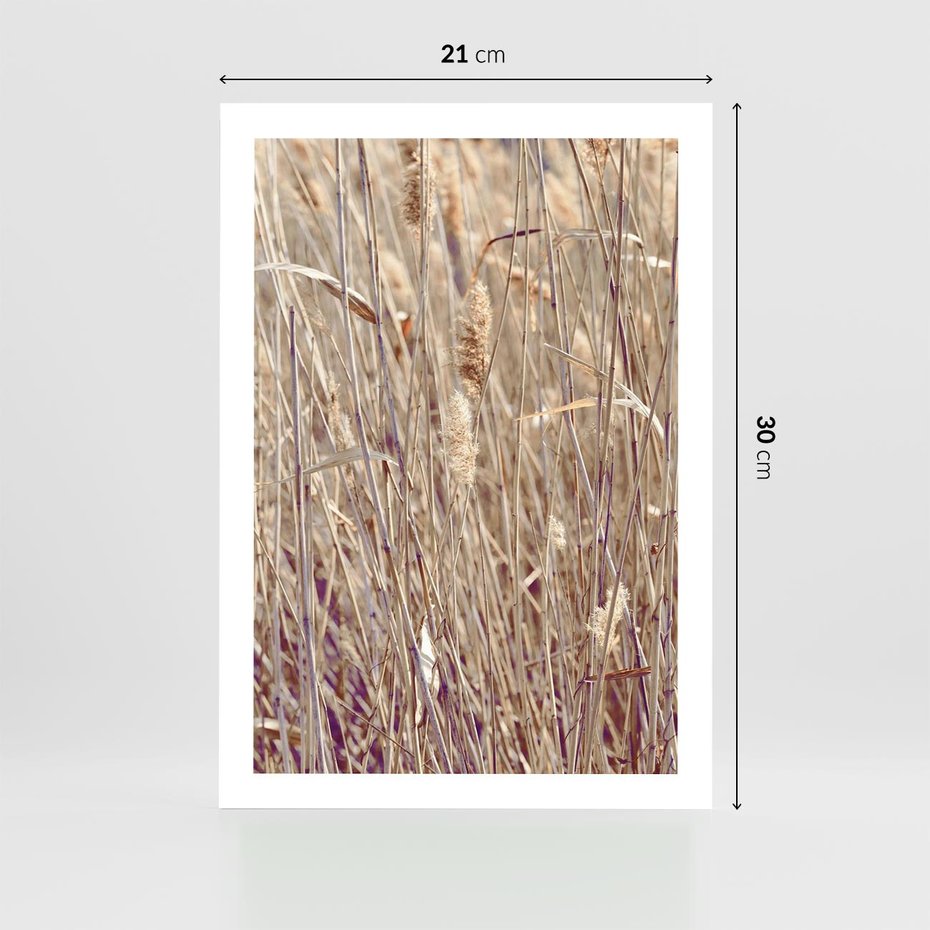 Plakat bez ramy 21x30 - Suche Trawy w Wyjątkowym Stylu - suche trawy, boho styl
