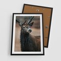 Plakat w ramie 50x70 - Spokojny jeleń - jeleń, las - rama czarna