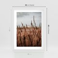Plakat w ramie 30x40 - Wysokie Trawy w Górskim Krajobrazie - suche trawy, wysokie trawy - rama biała