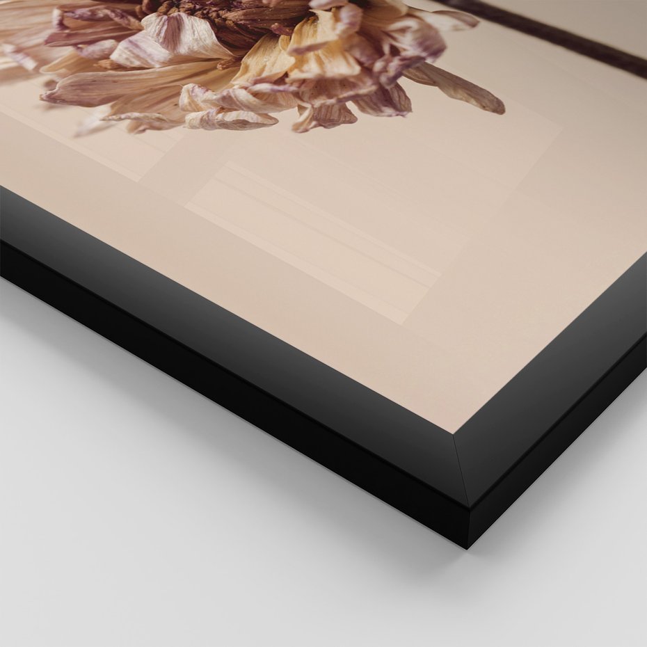Zestaw obrazy w ramie 40x50 galeria - Minimalistyczne, suszone, kwiaty, boho - rama czarna