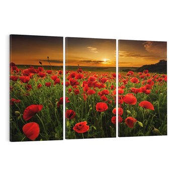 Obraz na płótnie 120x80 - Maki na łące: Przebudzenie wiosny - mak, maki