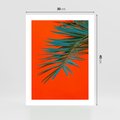 Plakat bez ramy 30x40 - Egzotyczny Urok - liście, palma