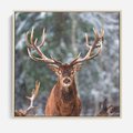 Obraz w ramie 50x50 - Monarcha Zimowej Dziczy - jeleń, zima - rama drewno