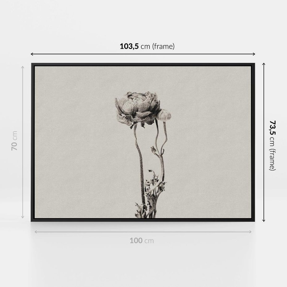 Obraz w ramie 100x70 - Cień Kwiatowej Delikatności - kwiat, cień - rama czarna