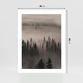 Plakat bez ramy 30x40 - Mglista Opowieść Lasu - las, mgła