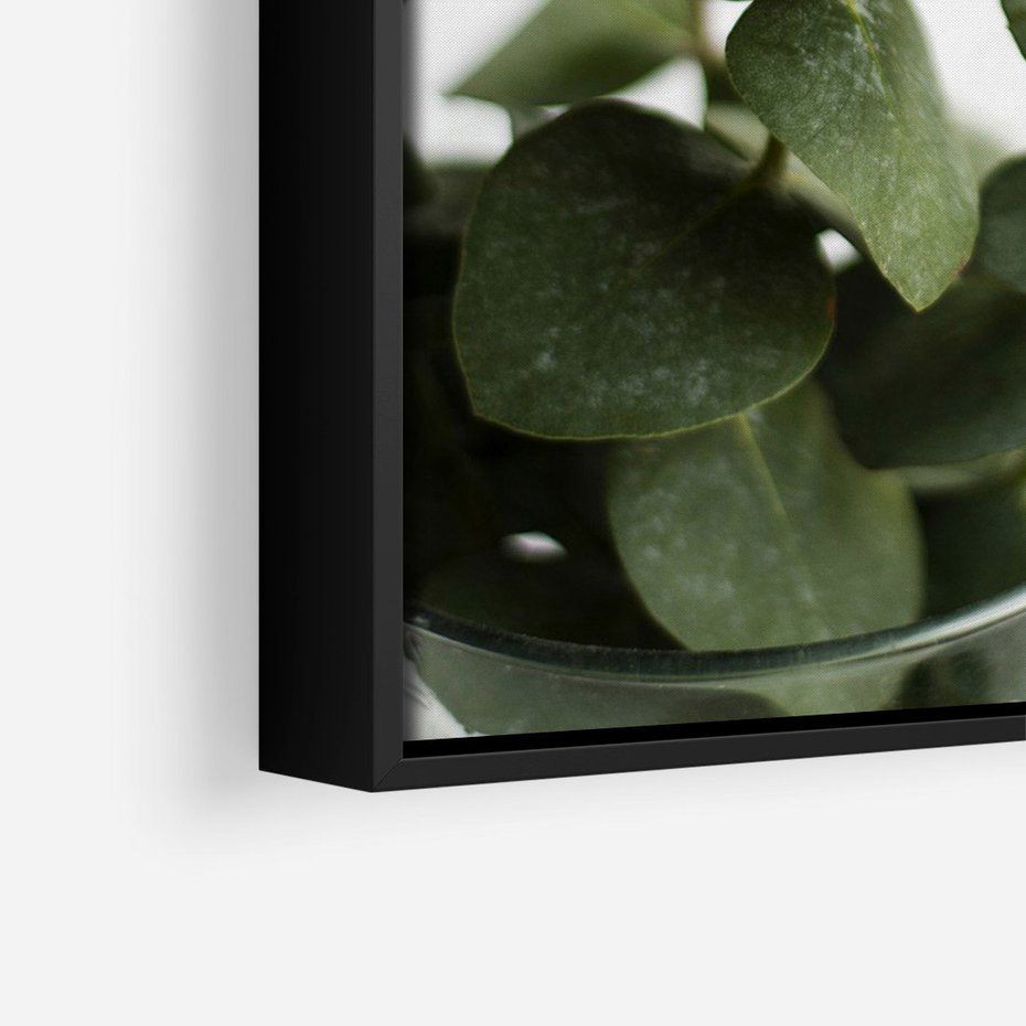 Obraz w ramie 70x100 - Zielone eukaliptusy - eukaliptus, liście - rama czarna