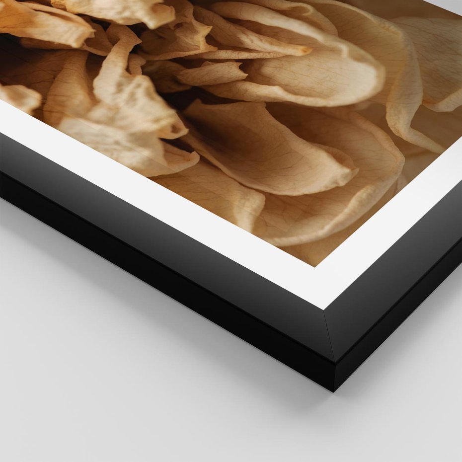 Plakat w ramie 30x40 - Zjawiskowe zasuszone kwiaty - zasuszone, kwiaty - rama czarna