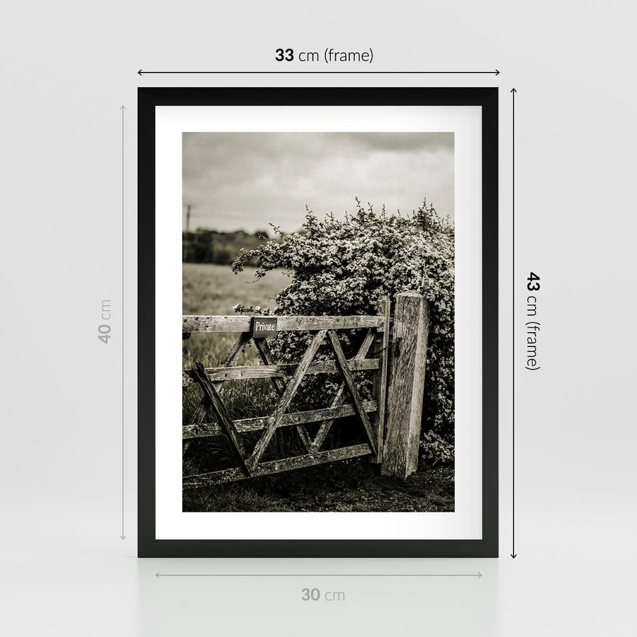 Plakat w ramie 30x40 - Wiejski Urok: Stary Płot i Kwitnący Krzew - rustykalne zdjęcie, stary płot - rama czarna