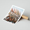 Plakat bez ramy 30x40 - Tropikalna Harmonia - palma, liście palmy