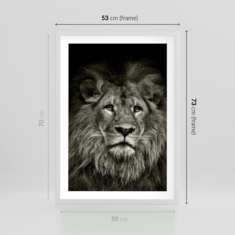 Plakat w ramie 50x70 - Moc lewego spojrzenia - lew, czarno - rama biała