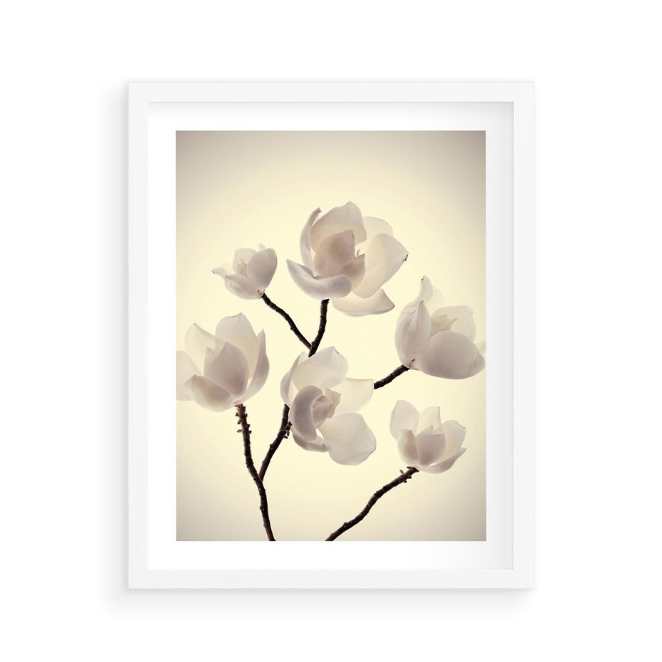 Plakat w ramie 40x50 - Elegancja Natury - magnolia, białe - rama biała