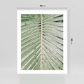 Plakat bez ramy 40x50 - Jasna Zieleń Palmy - liść palmy, zbliżenie