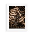 Plakat w ramie 50x70 - Liście i Paprocie - suche liście, paprocie - rama biała