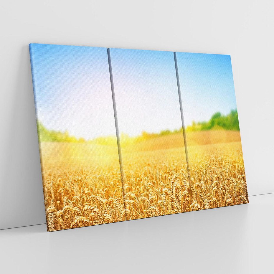Obraz na płótnie 120x80 - Żyzne Pola - pole, pszenicy
