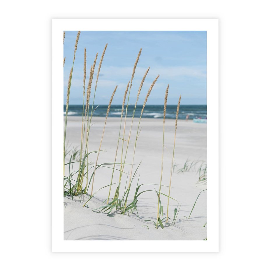 Plakat bez ramy 40x50 - Przytulna Śródziemnomorska Trawa - plaża, trawy