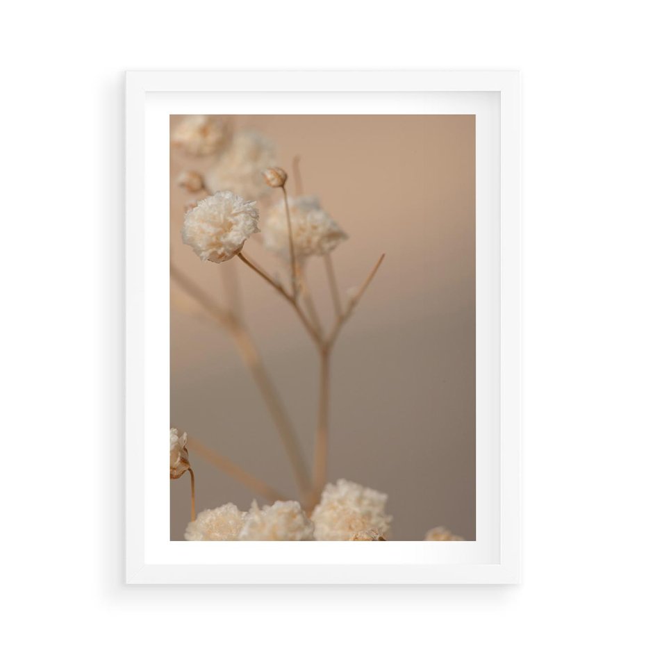 Plakat w ramie 50x70 - Subtelna gipsówka - gipsówka, suche - rama biała