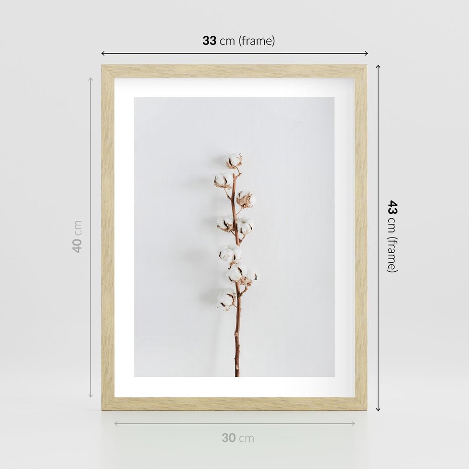 Plakat w ramie 30x40 - Minimalistyczna Gałązka Bawełny - bawełna, gałązka bawełny - rama drewno
