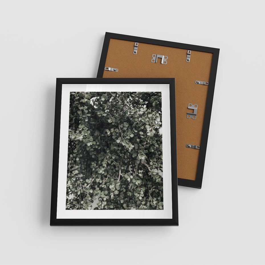 Plakat w ramie 40x50 - Jasnozielone Liście i Gałązki - liście, gałązki - rama czarna