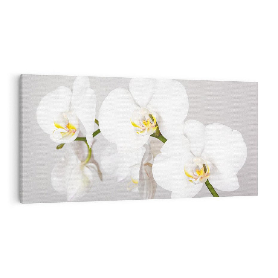 Obraz na płótnie 140x70 - kwiatowy urok - orchidea, kwiat