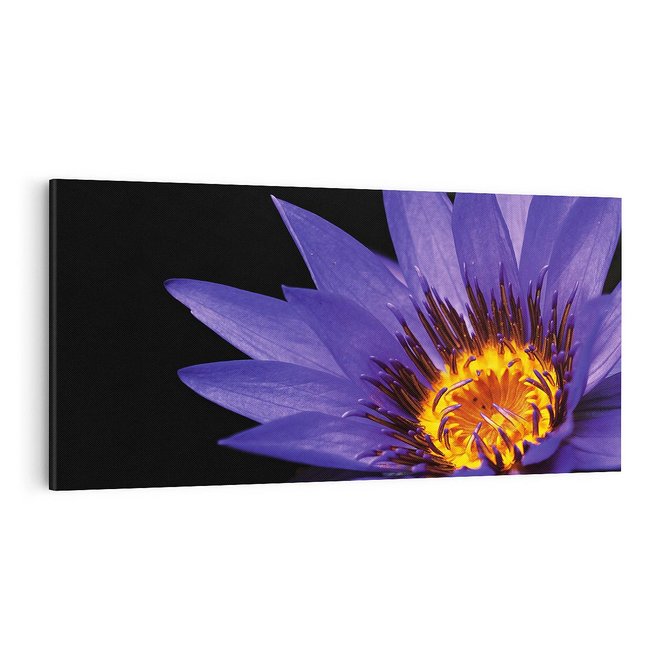 Obraz na płótnie 100x50 - Kwiatowa harmonia: Piękno natury - kwiat, kwiaty
