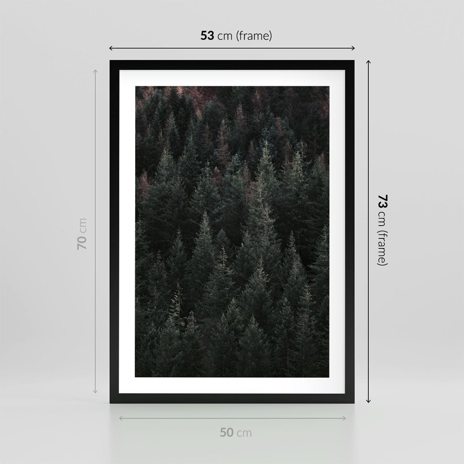 Plakat w ramie 50x70 - Wysoko nad Iglastym Lasem - las, perspektywa - rama czarna