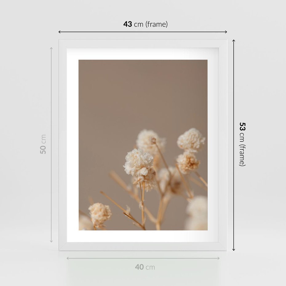 Plakat w ramie 40x50 - Przezroczyste piękno - gipsówka, suche - rama biała