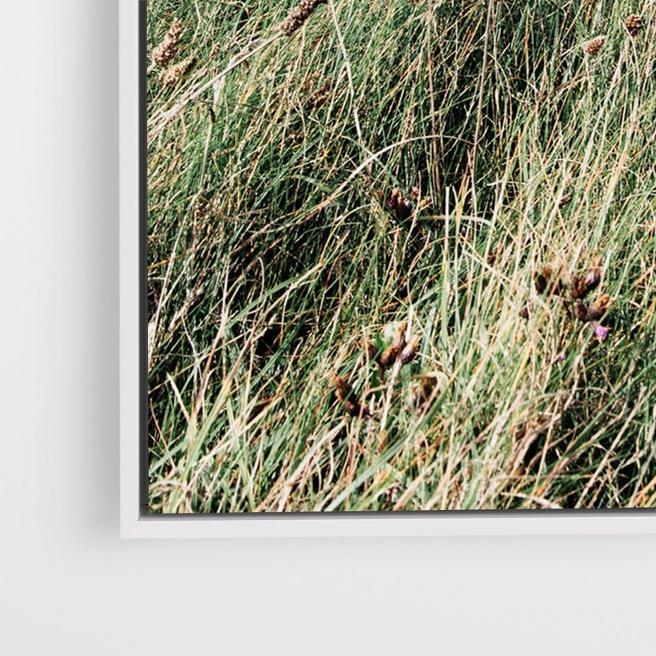 Obraz w ramie 70x100 - Harmonia Natury - widok z wydm, wydmy porośnięte trawami - rama biała