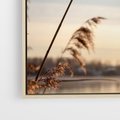 Obraz w ramie 50x70 - Naturalna Delikatność - trawy, boho - rama drewno