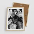 Plakat w ramie 50x70 - Liście w Czarno-Białej Fotografii - liście, roślina - rama drewno