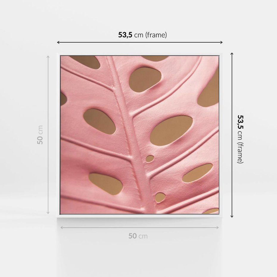 Obraz w ramie 50x50 - Różowa monstera w pełnym rozkwicie - różowa, monstera - rama biała