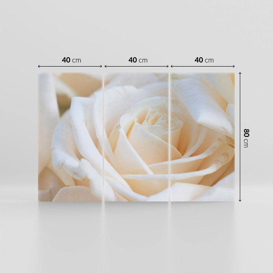 Obraz na płótnie 120x80 - Białe róże piękności - białe, róże