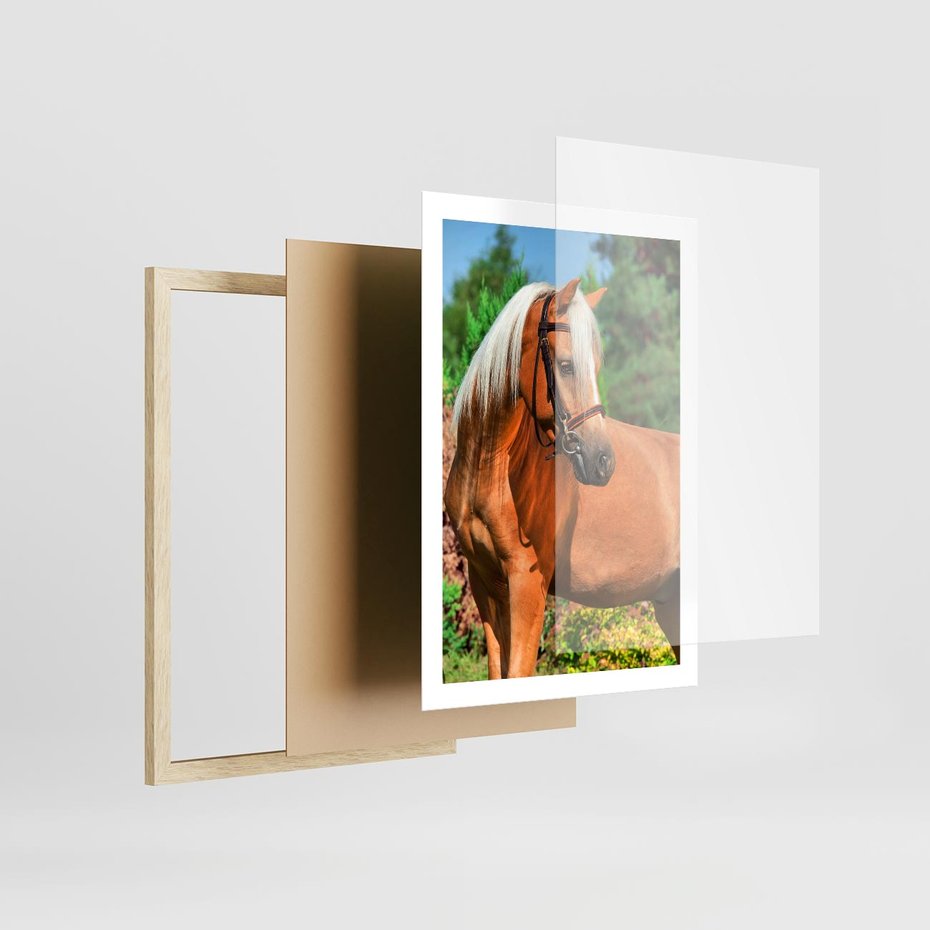 Plakat w ramie 50x70 - Elegancki wierzchowiec - koń, portret - rama drewno