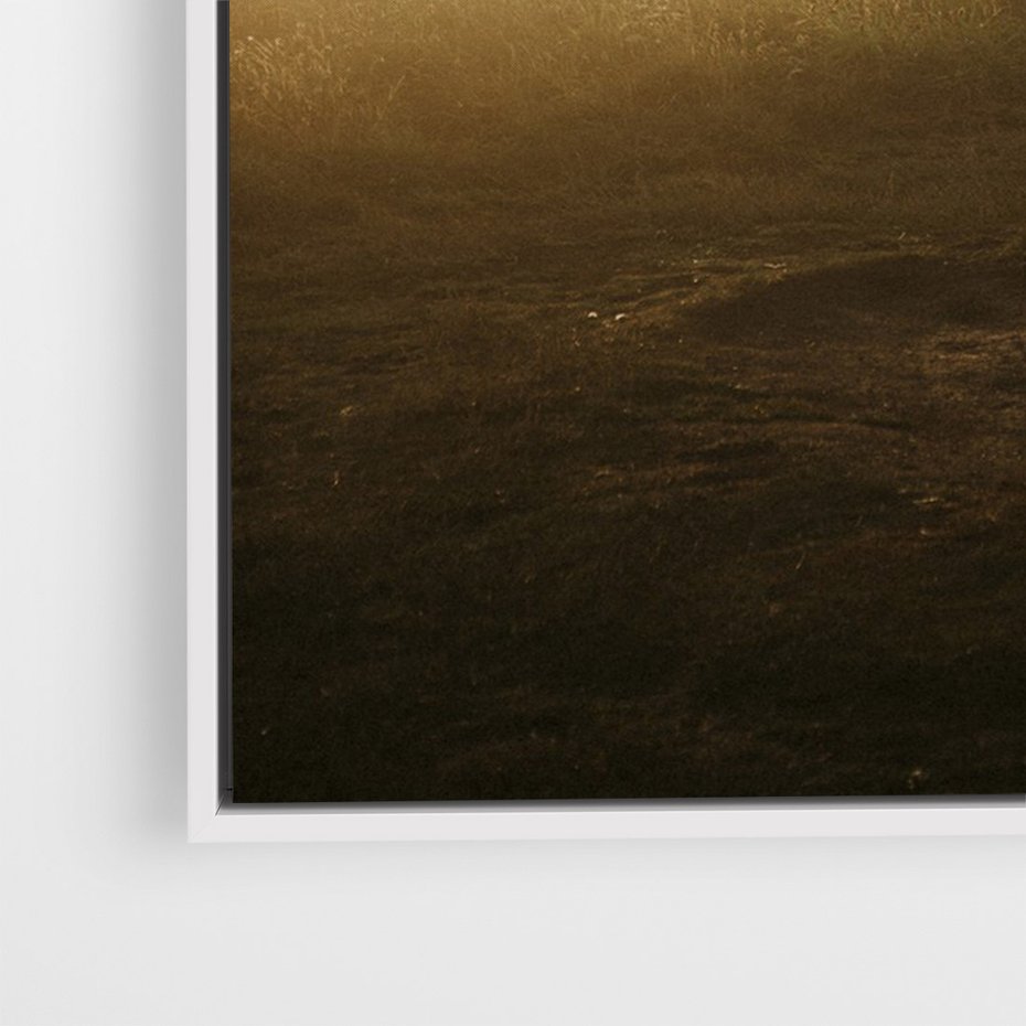 Obraz w ramie 80x120 - Mglisty zachód słońca na ławeczce - mgła, zachód - rama biała