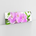 Obraz na płótnie 120x40 - Orchidea w SPA - spa, orchidea