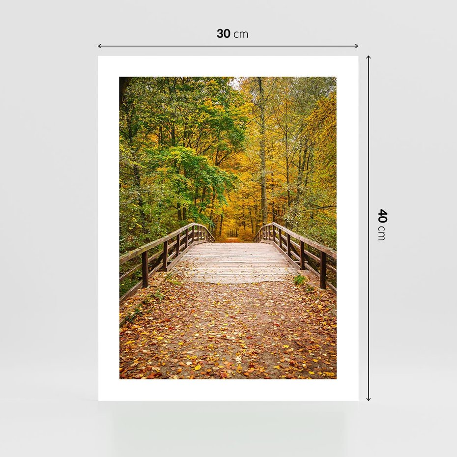 Plakat bez ramy 30x40 - Spacer Ścieżką w Las - ścieżka, spacer