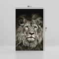 Obraz na płótnie 50x70 - Moc lewego spojrzenia - lew, czarno