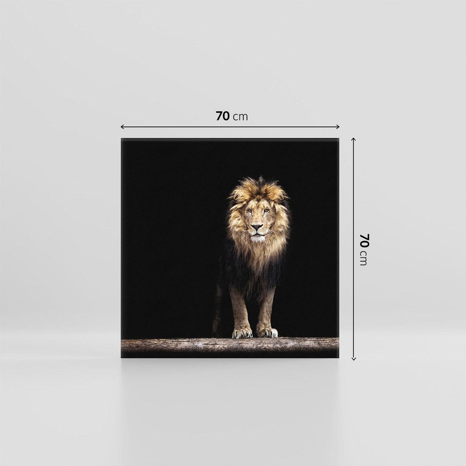 Obraz na płótnie 70x70 - Lew: dzikie piękno natury - lew, dzikie