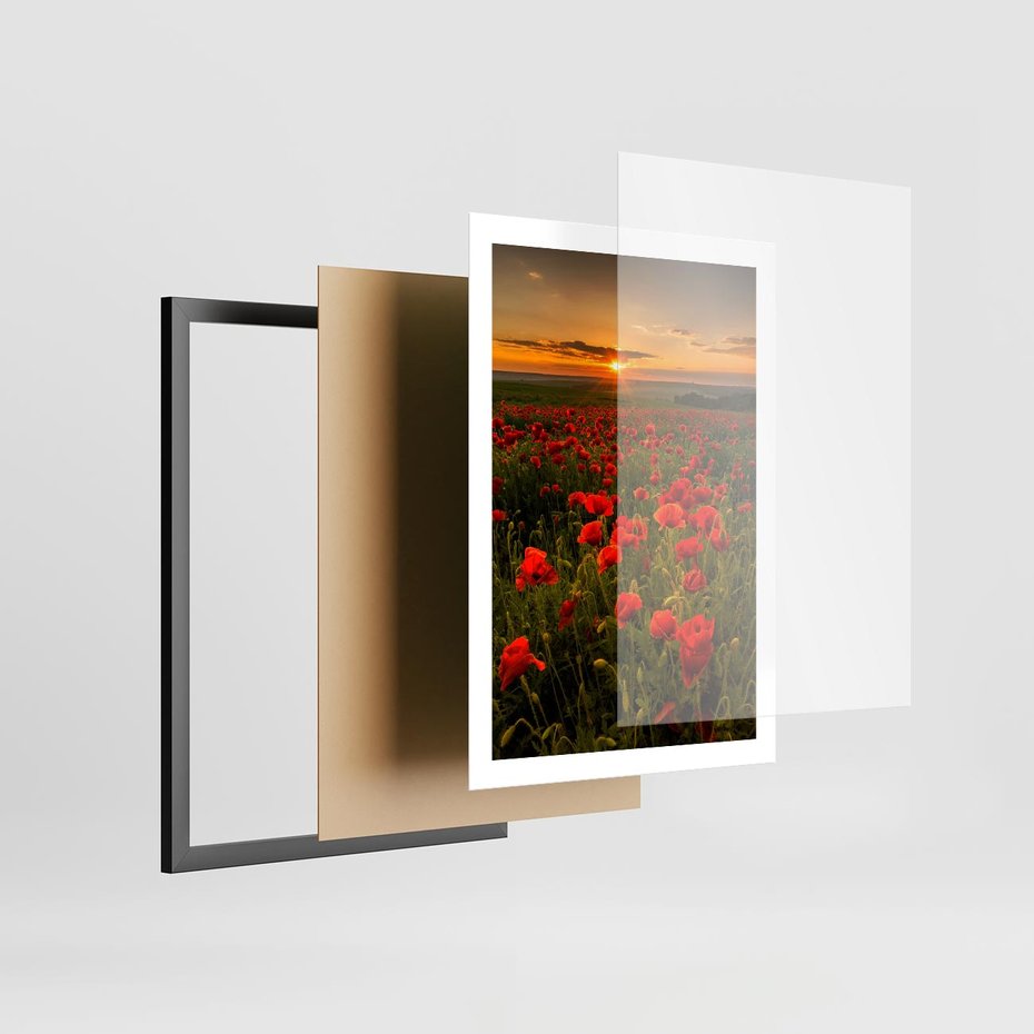Plakat w ramie 50x70 - Maki przy zachodzie słońca - maki, zachód - rama czarna