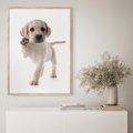 Plakat w ramie 40x50 - Szczeniak pełen radości - piesek, szczeniak - rama drewno