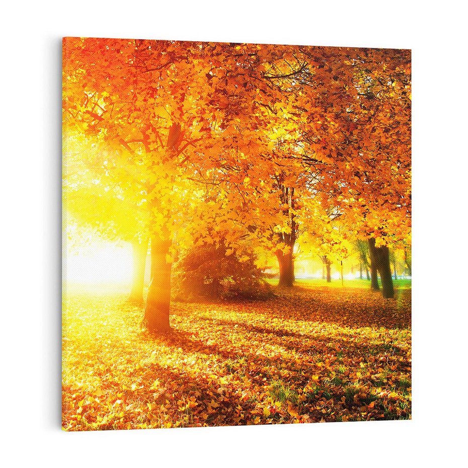 Obraz na płótnie 70x70 - Magia jesiennego lasu - las, drzewa