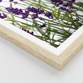 Plakat w ramie 30x40 - Fioletowa harmonia lawendy - lawenda, fiolet - rama drewno
