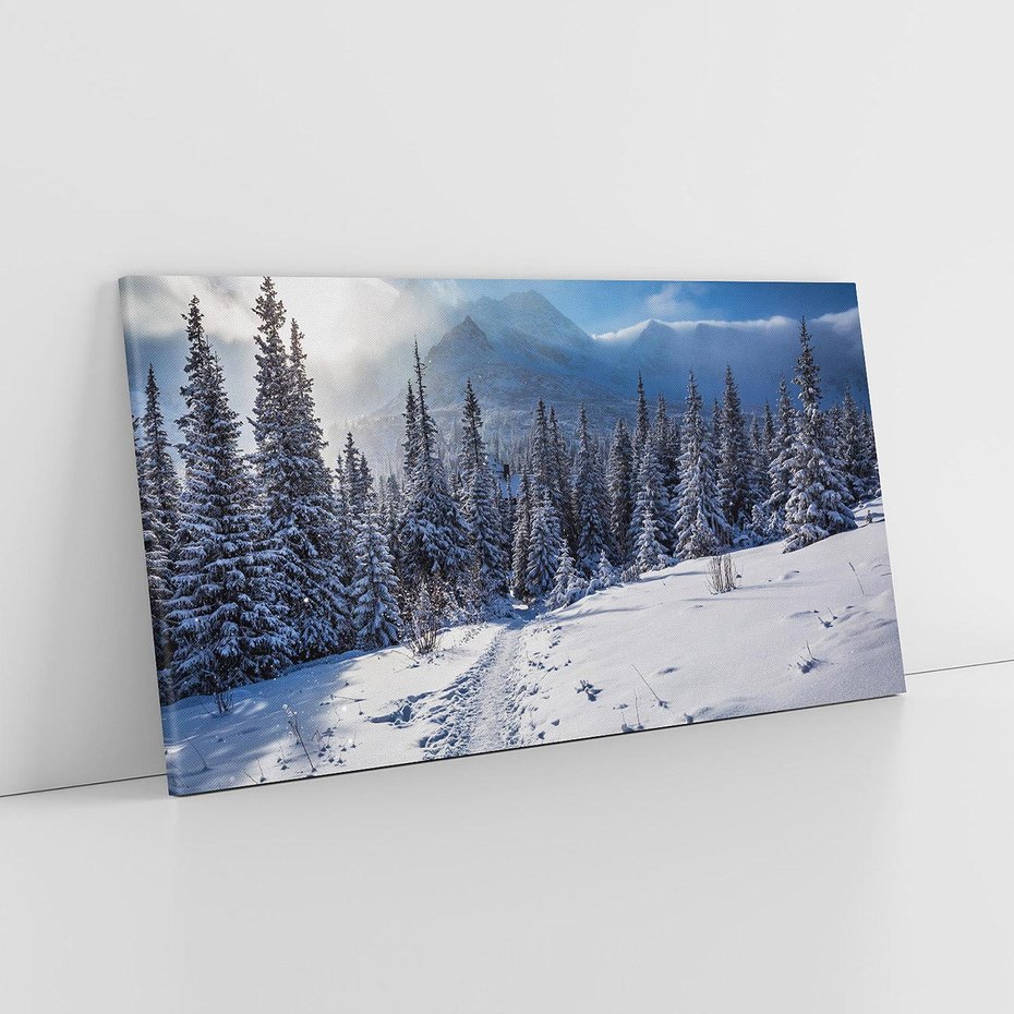 Obraz na płótnie 100x50 - Zimowe góry w lesie - góry, zima