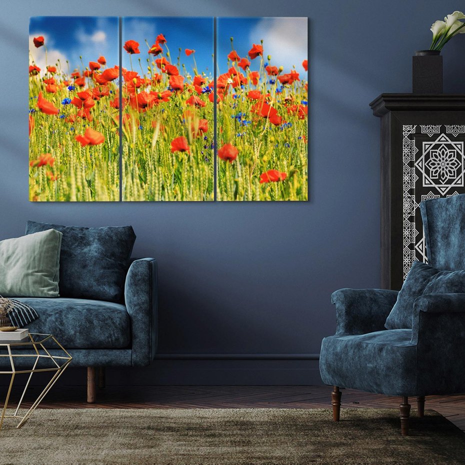 Obraz na płótnie 120x80 - Delikatne maki na kolorowej łące - mak, maki